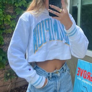 Champion cropped hoodie